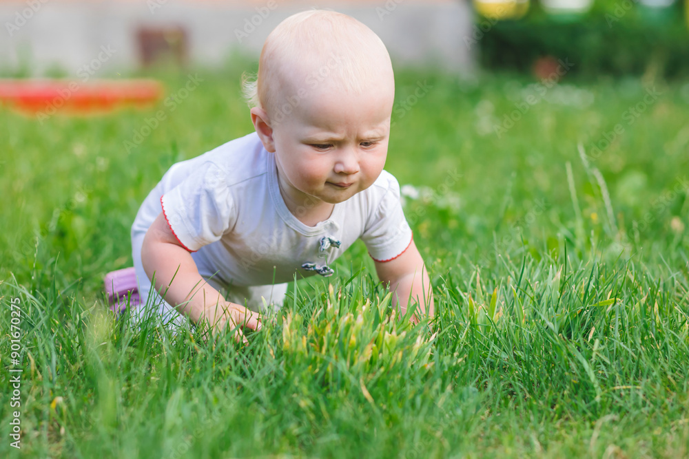 Baby Crawling Through Grass With a Green Stem in Mouth Baby Crawling Through Grass With a Green Stem in Mouth