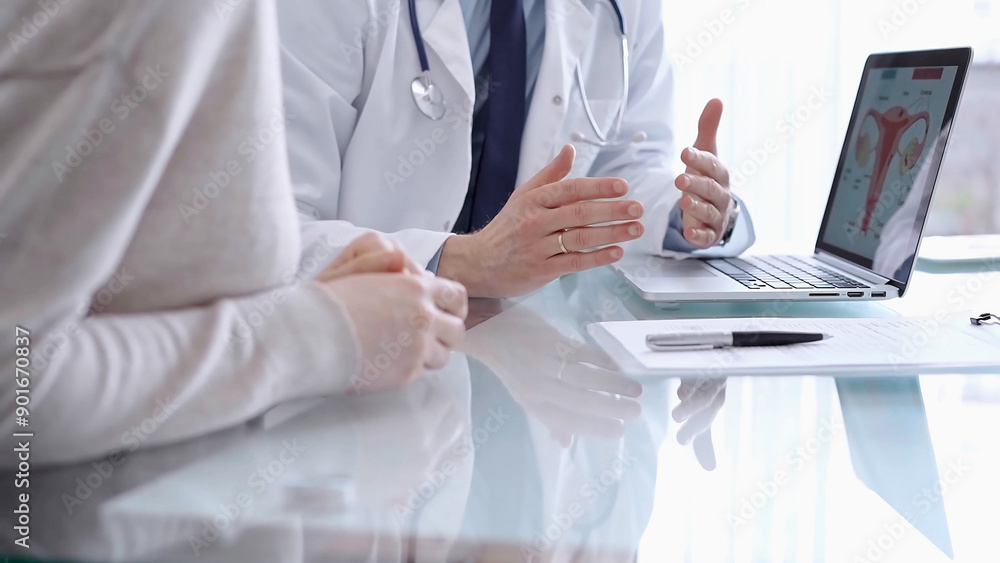 Doctor is consulting patient in modern fair clinic. Healthcare professional discusses medical information with a woman, pointing into the laptop computer monitor. Medicine concept Doctor is consulting patient in modern fair clinic. Healthcare professional discusses medical information with a woman, pointing into the laptop computer monitor. Medicine concept