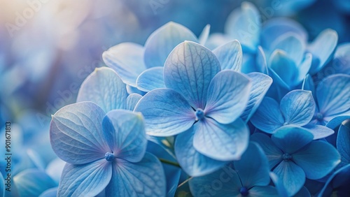 Delicate petals of soft blue hydrangea bloom against a serene blue background, creating a calming and peaceful atmosphere in this stunning close-up floral image.