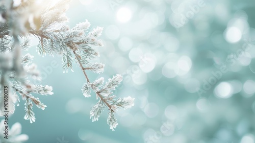 A branch covered in snow and ice