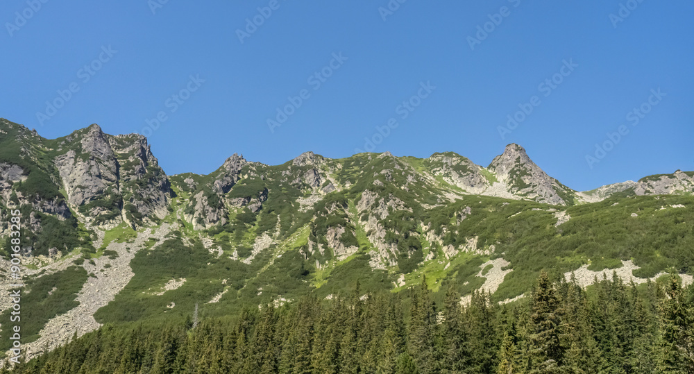 Fototapeta premium Mountain landscape in National Park Retezat, Romania. Panoramic view.