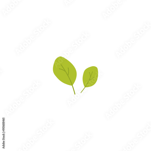 Mint or Melissa leaves icon, natural fresh green fragrant herb, tea flavor foliage, vector botanical floral decoration