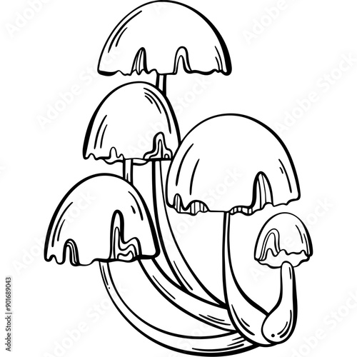 mushroom