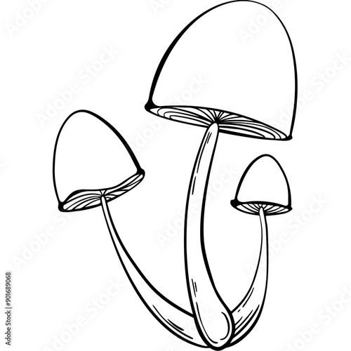 mushroom
