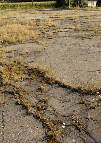 Old asphalt with cracks through which grass grows