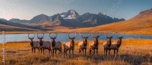 Wallpaper Mural Wild Elk are mammal wild animal in forest of North America, red brown deers, which ungulates that live in groups of families or species societies Torontodigital.ca