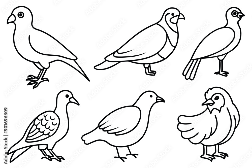 Avian bird line art illustration Avian bird line art illustration