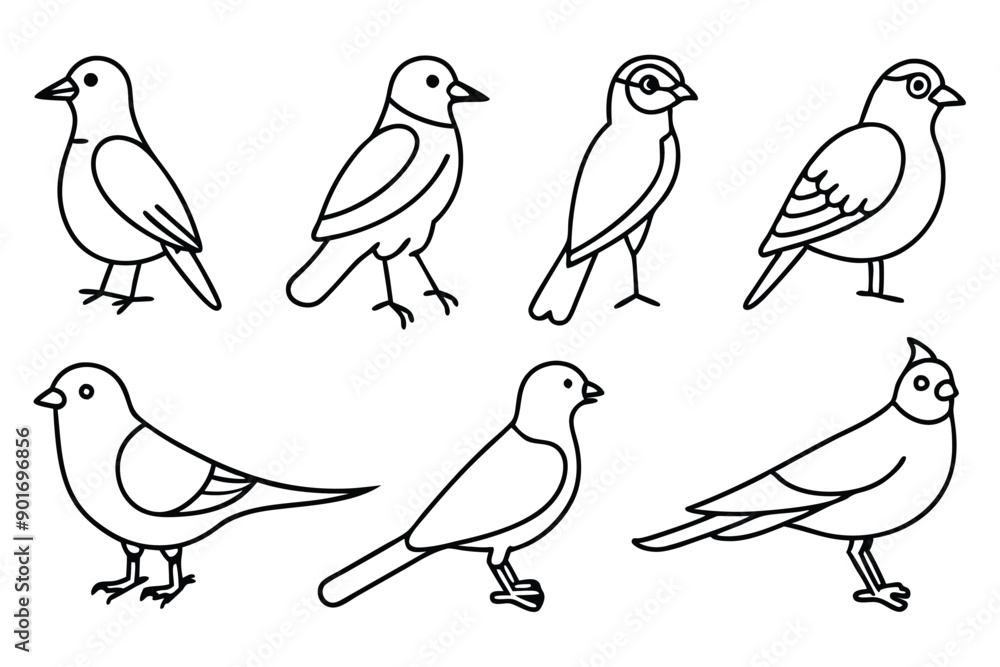 Avian bird line art illustration Avian bird line art illustration