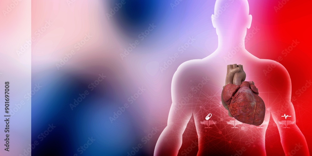 Obraz premium 3d illustration Anatomy of Human Heart