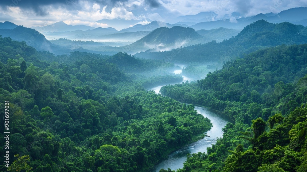 River winding through a dense forest landscape River winding through a dense forest landscape