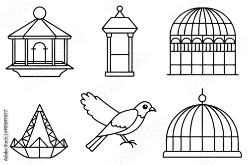 Aviary bird line art illustration