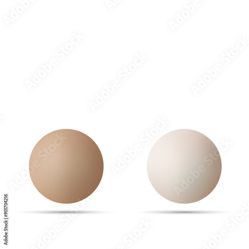 Realistic pearls set. Round white, bluish-gray, black, formed inside the shell of a pearl oyster, a gemstone. Vector illustration. Eps 10