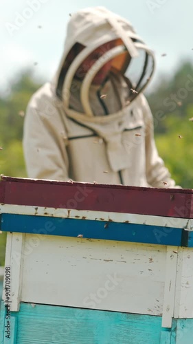 Wallpaper Mural Angry bees swarming in the apiary. Beekeeper in protective clothes and hat with instruments in hands comes to the hive. Blurred backdrop. Vertical video Torontodigital.ca