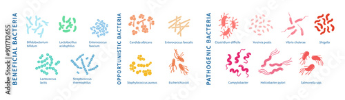 Colorful and detailed diagram showcasing pathogen, opportunistic and beneficial bacteria and probiotics.