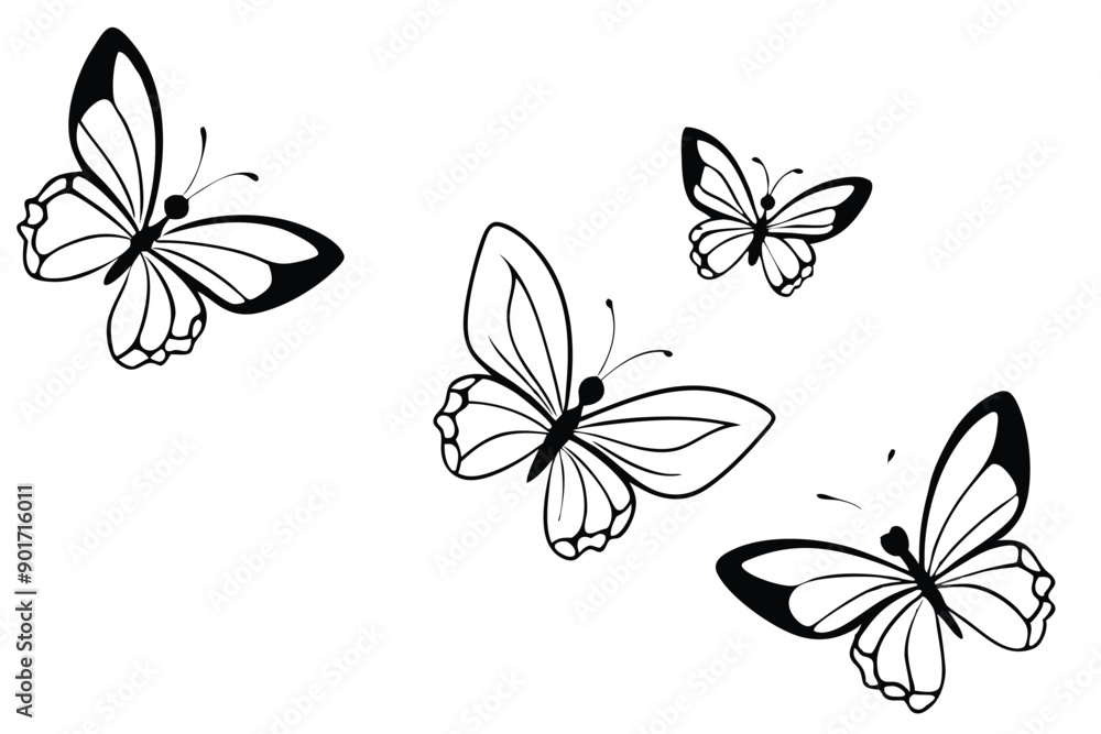 Obraz premium Butterflies flying line art illustration