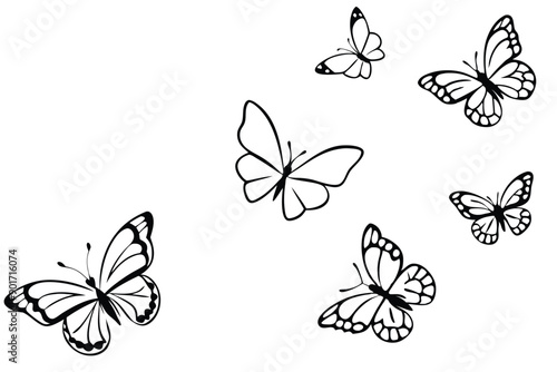 Butterflies flying line art illustration
