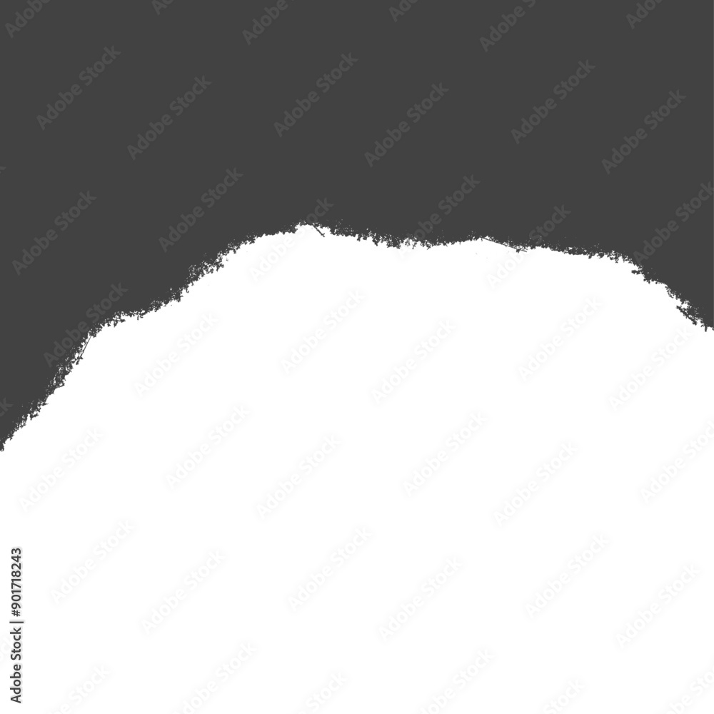 Fototapeta premium torn paper background Grunge Border Edge