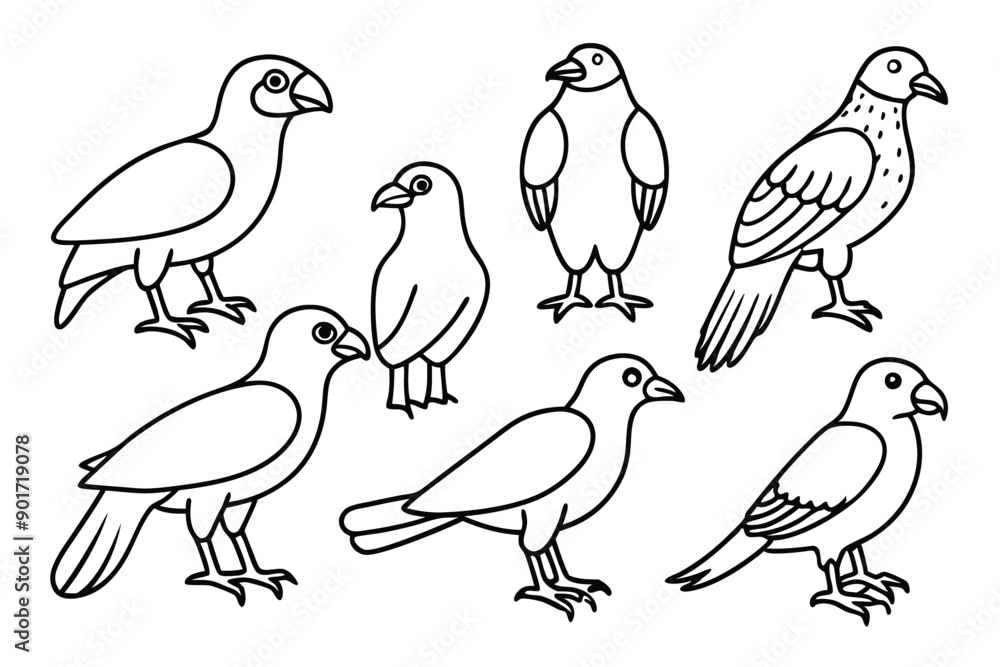 Buzzard bird line art illustration Buzzard bird line art illustration