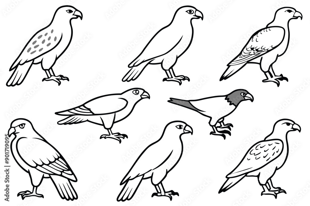 Fototapeta premium Buzzard bird line art illustration