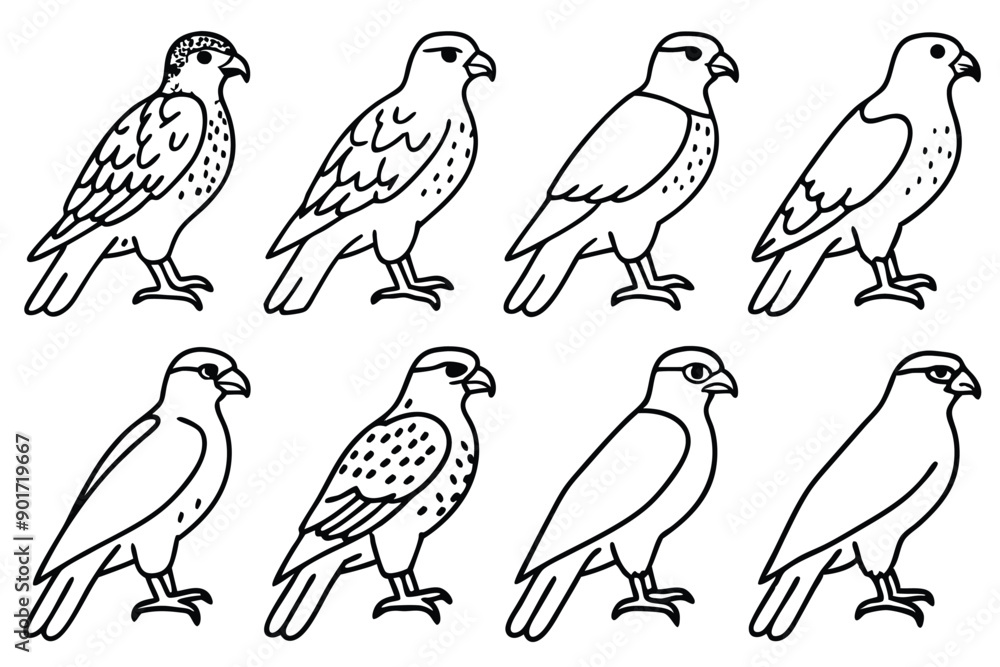 Buzzard bird line art illustration Buzzard bird line art illustration