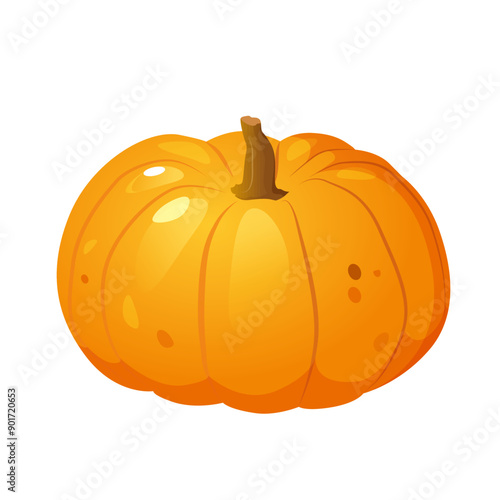 Organic natural pumpkin isolated on white background.
