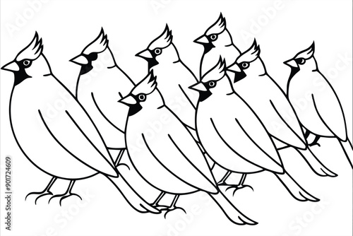 Cardinal bird line art illustration