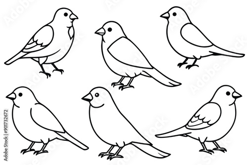 Wallpaper Mural Canary bird line art illustration Torontodigital.ca