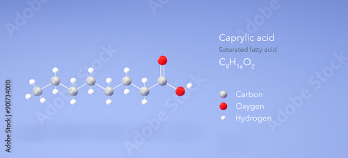 caprylic acid molecule, molecular structure, saturated fatty acid, 3d model, Structural Chemical Formula and Atoms with Color Coding photo