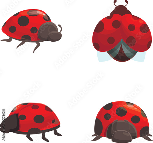 Red ladybug icons set cartoon vector. Various cartoon bright red ladybird. Nature, insect
