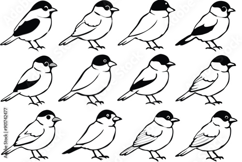 Chickadee bird line art illustration