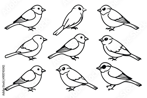 Chickadee bird line art illustration