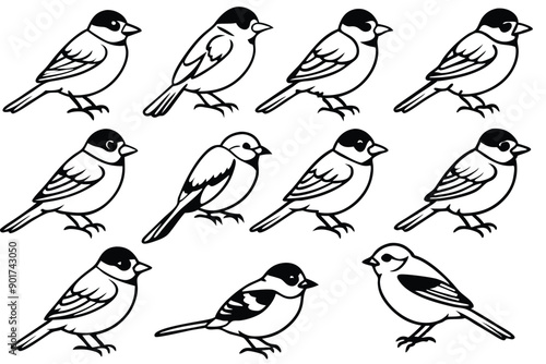 Chickadee bird line art illustration