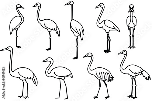 Crane bird line art illustration Design Concepts