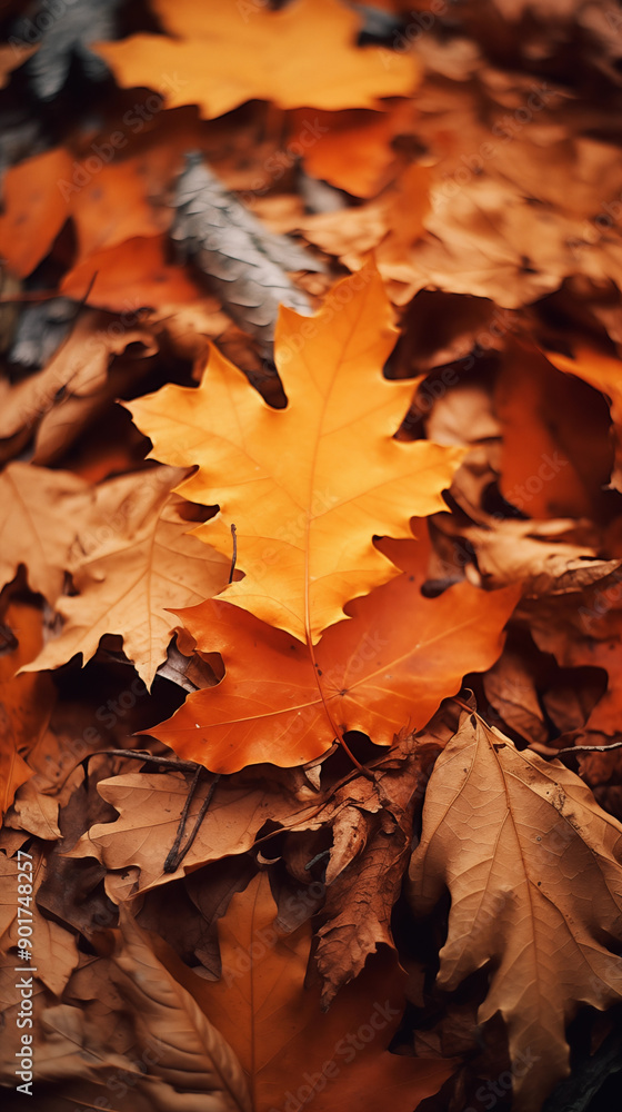 Autumn wallpaper weather background. Autumn wallpaper weather background.