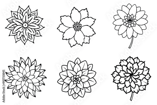 Dahlia flower line art illustration Design Concepts