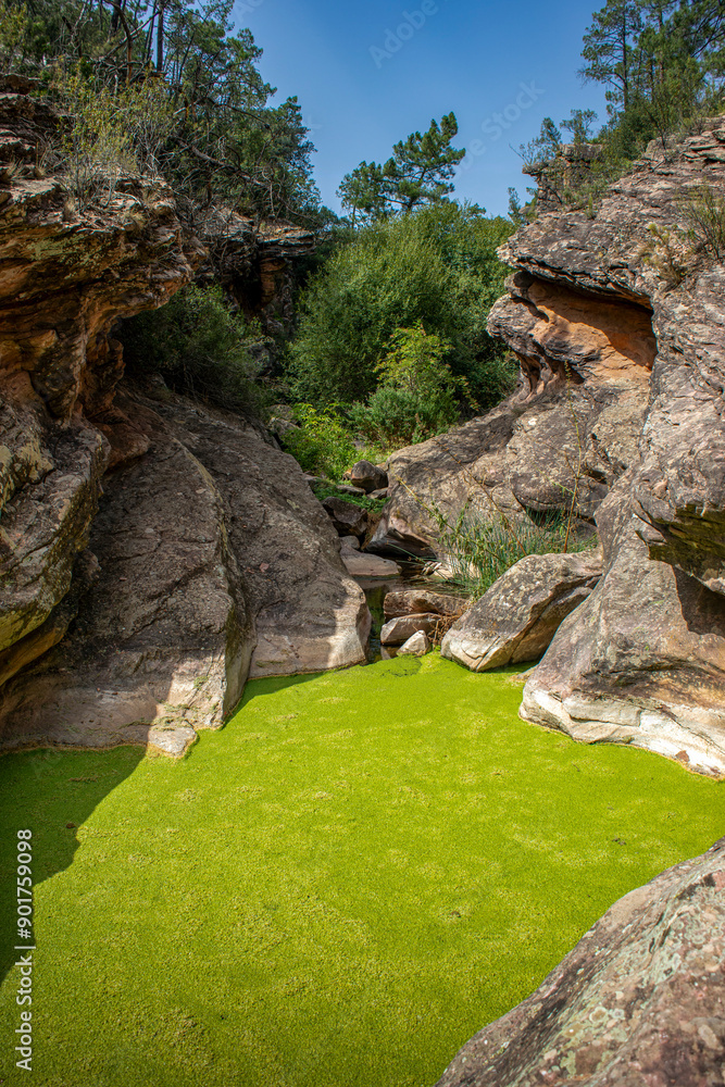 Vertical photo of the Hoz stream in Talayuelas in Cuenca, Castilla-La Mancha, in summer Vertical photo of the Hoz stream in Talayuelas in Cuenca, Castilla-La Mancha, in summer