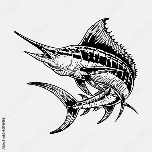 Marlin fish hand drawn vintage illustration