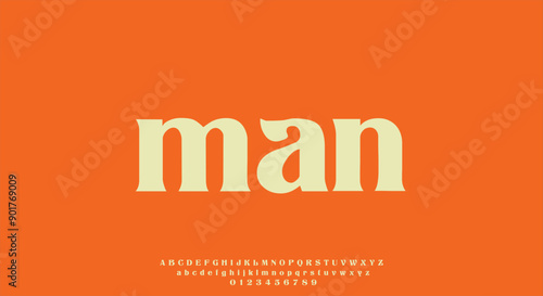 Vector elegant alphabet letters font classic modern serif lettering minimal fashion
