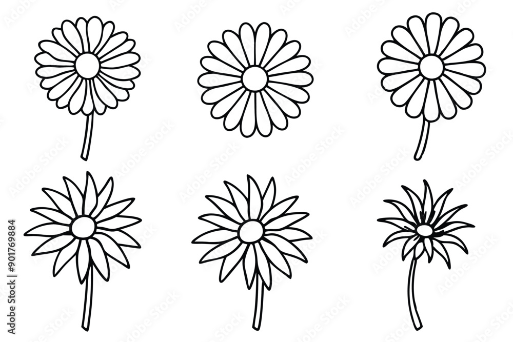 Obraz premium Daisy flower line art illustration Design Concepts
