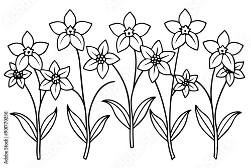 Delphinium flower line art illustration