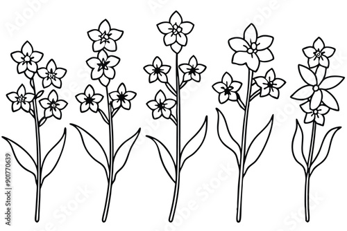Delphinium flower line art illustration