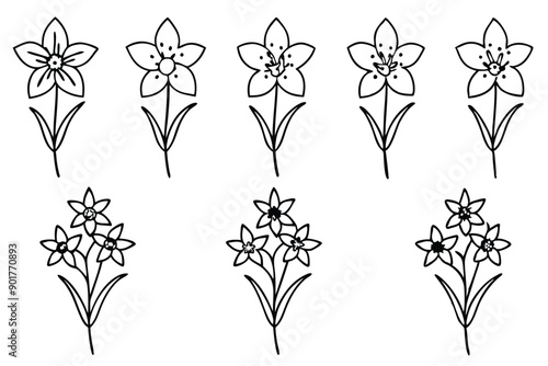 Delphinium flower line art illustration