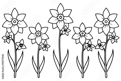 Delphinium flower line art illustration