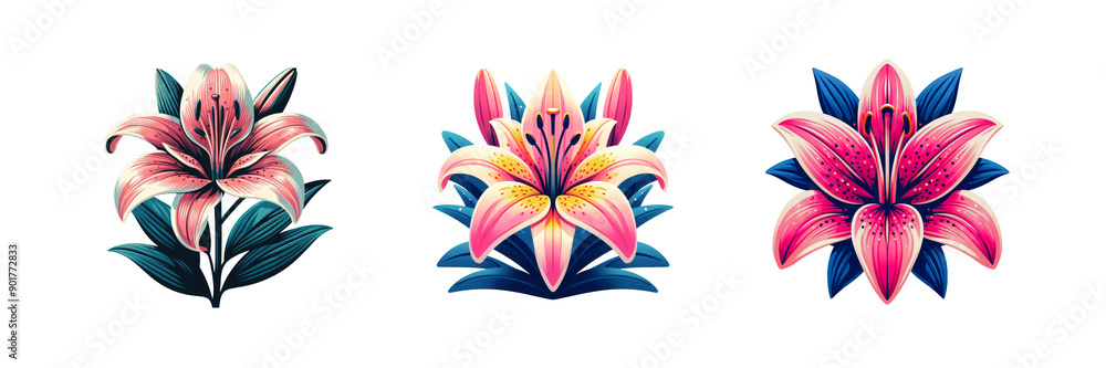 Set of Flat design lily flower illustration, bold colors, isolated over on transparent white background Set of Flat design lily flower illustration, bold colors, isolated over on transparent white background