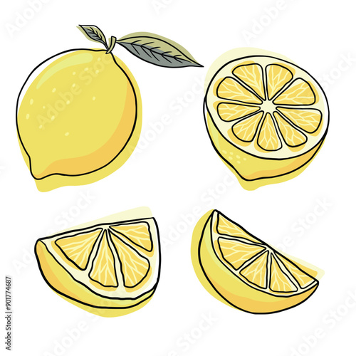 Lemon drawing. Lemon doodle. Lemon hand drawn
