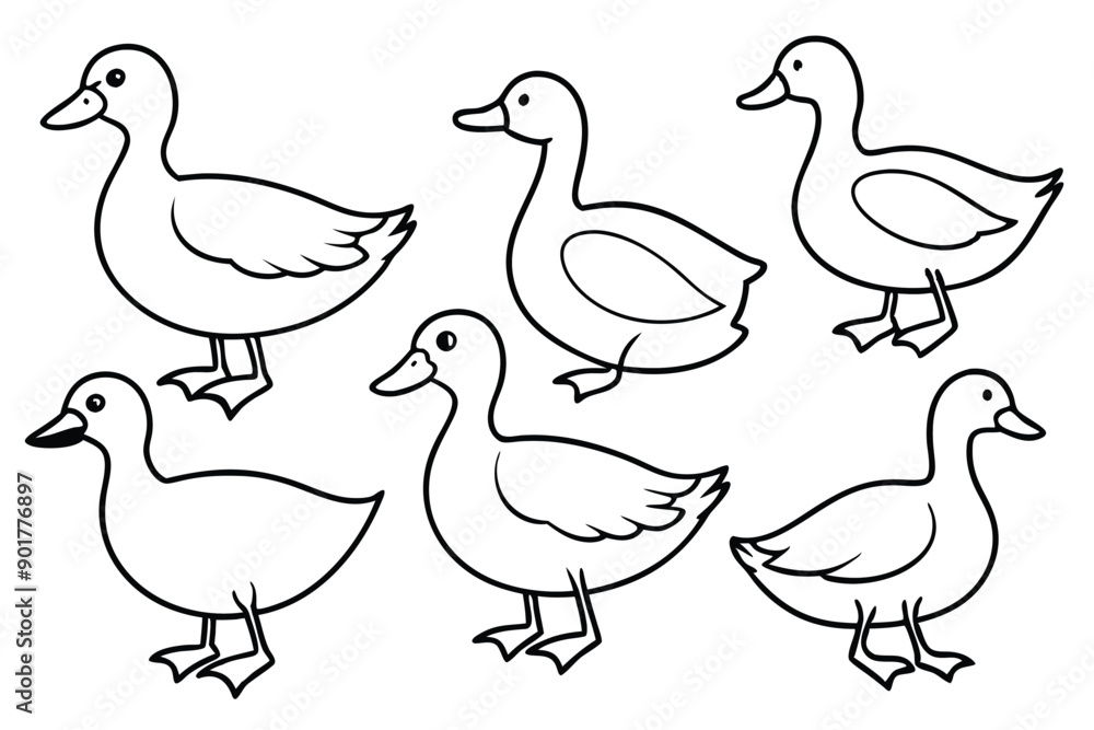 Duck line art illustration Design Concepts Duck line art illustration Design Concepts