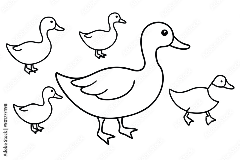 Duck line art illustration Design Concepts Duck line art illustration Design Concepts