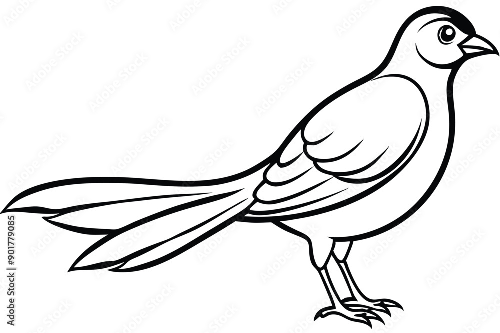 Fototapeta premium Elegant bird line art illustration