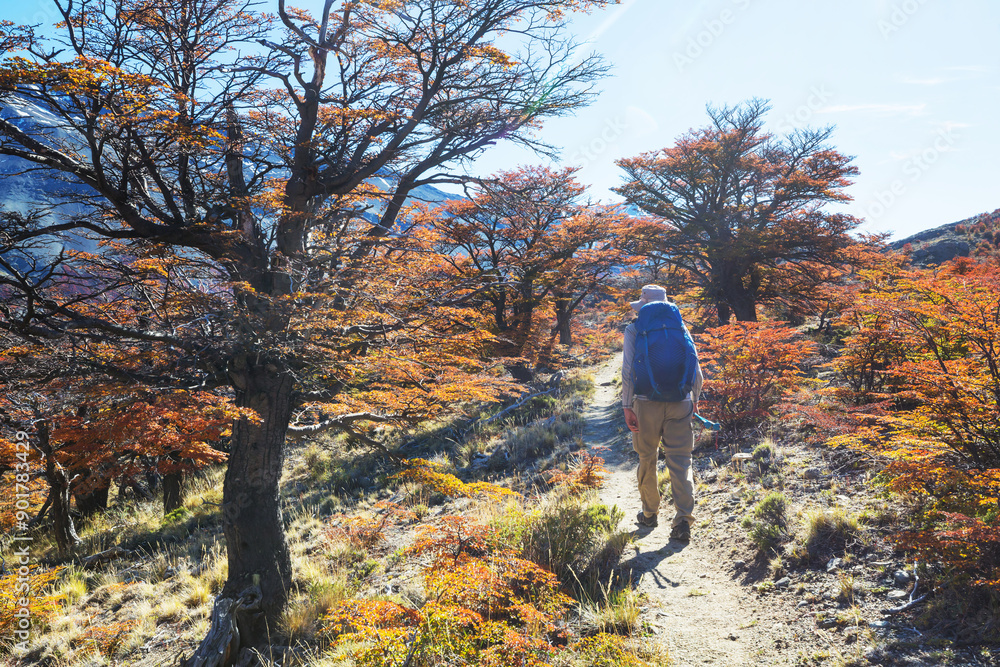 Fototapeta premium Hike in autumn season