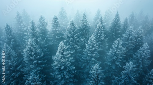 Frost-Covered Pine Trees Shrouded in Thick Mist During Winter Morning. Generative AI